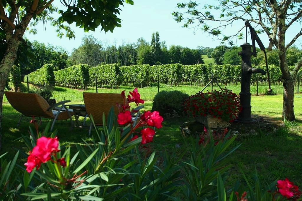 Bleu Raisin Bed & Breakfast Les Salles-de-Castillon ภายนอก รูปภาพ