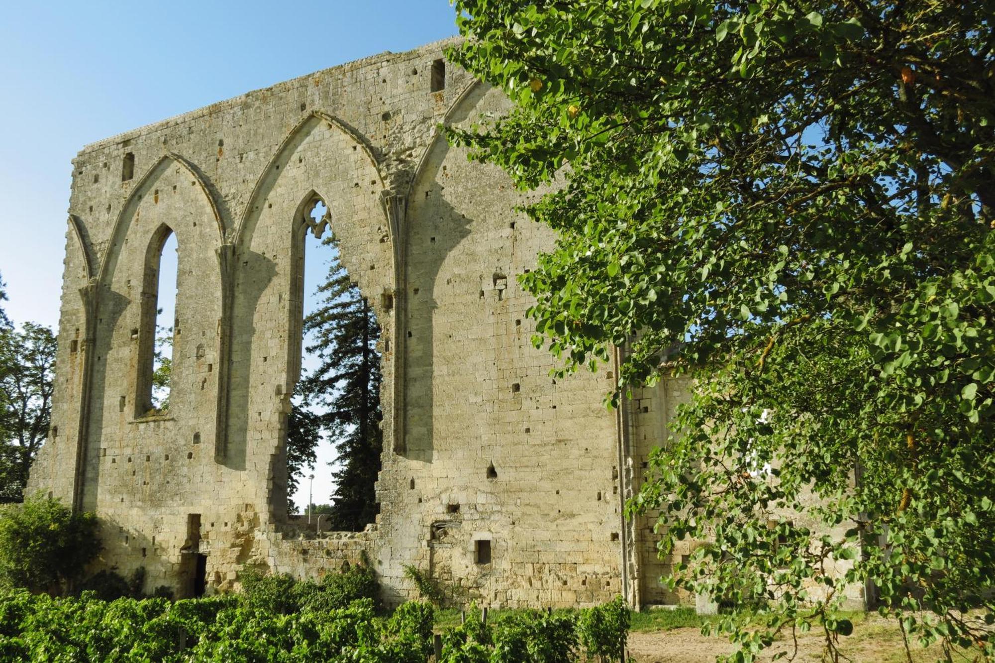 Bleu Raisin Bed & Breakfast Les Salles-de-Castillon ภายนอก รูปภาพ