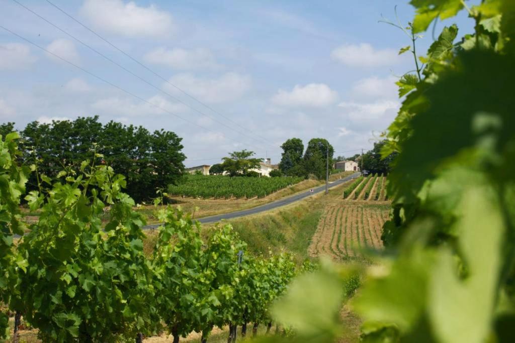 Bleu Raisin Bed & Breakfast Les Salles-de-Castillon ภายนอก รูปภาพ
